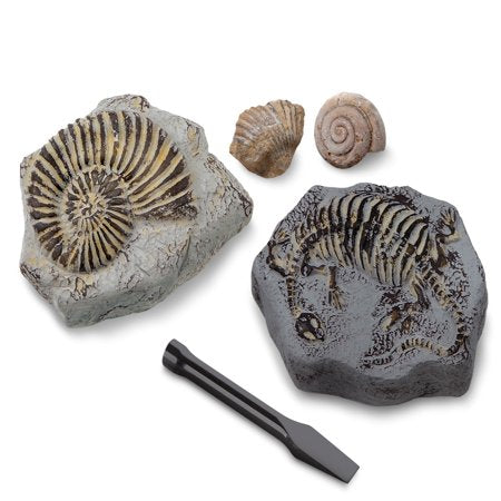 Discovery™ #Mindblown Fossil Unearthed 2-Pack Mini Excavation Kit